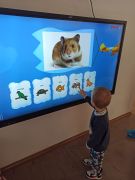 większy obrazek nr 44