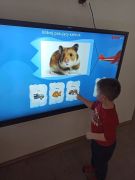 większy obrazek nr 45