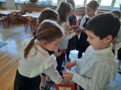 większy obrazek nr 7