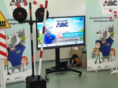 większy obrazek nr 3