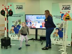 większy obrazek nr 14