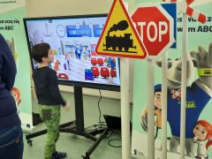 większy obrazek nr 15