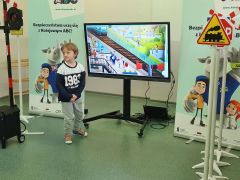 większy obrazek nr 16