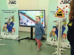 większy obrazek nr 17