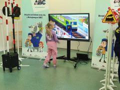 większy obrazek nr 21