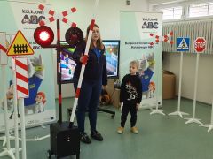 większy obrazek nr 32