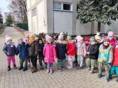 większy obrazek nr 29