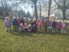 większy obrazek nr 53