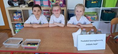 większy obrazek nr 1