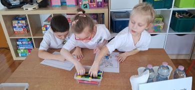 większy obrazek nr 12