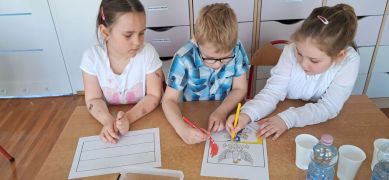 większy obrazek nr 13