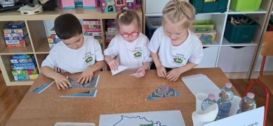 większy obrazek nr 27