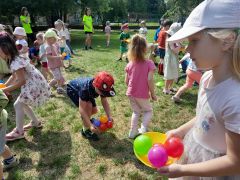 większy obrazek nr 102