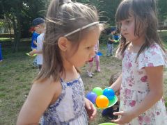 większy obrazek nr 103