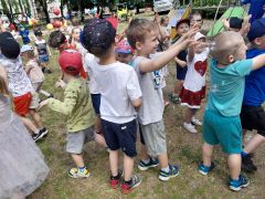 większy obrazek nr 110