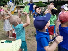 większy obrazek nr 111