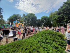 większy obrazek nr 120