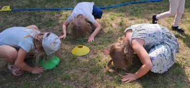 większy obrazek nr 36