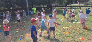 większy obrazek nr 46