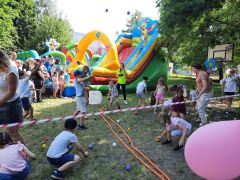 większy obrazek nr 73