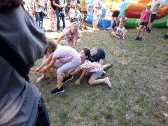 większy obrazek nr 79