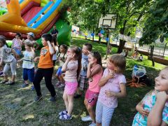 większy obrazek nr 91