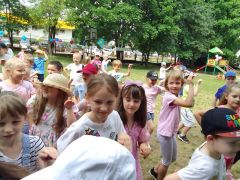 większy obrazek nr 148