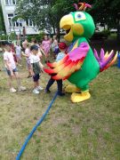 większy obrazek nr 154