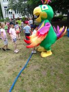 większy obrazek nr 155