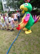 większy obrazek nr 156