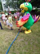 większy obrazek nr 157