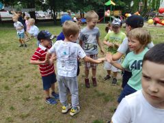 większy obrazek nr 160