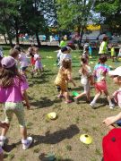 większy obrazek nr 172