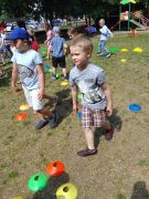 większy obrazek nr 174