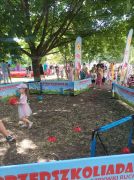 większy obrazek nr 189