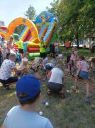 większy obrazek nr 194