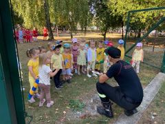 większy obrazek nr 20