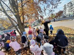 większy obrazek nr 13