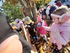 większy obrazek nr 14