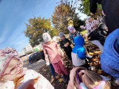 większy obrazek nr 15