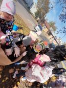 większy obrazek nr 17