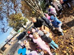 większy obrazek nr 18