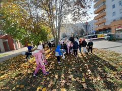 większy obrazek nr 20