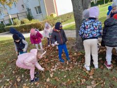 większy obrazek nr 21