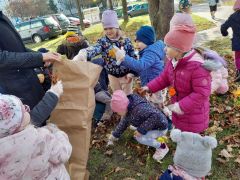 większy obrazek nr 22