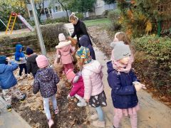 większy obrazek nr 23