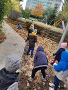 większy obrazek nr 24