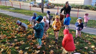 większy obrazek nr 2