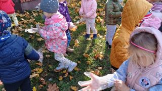 większy obrazek nr 3