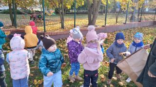 większy obrazek nr 4